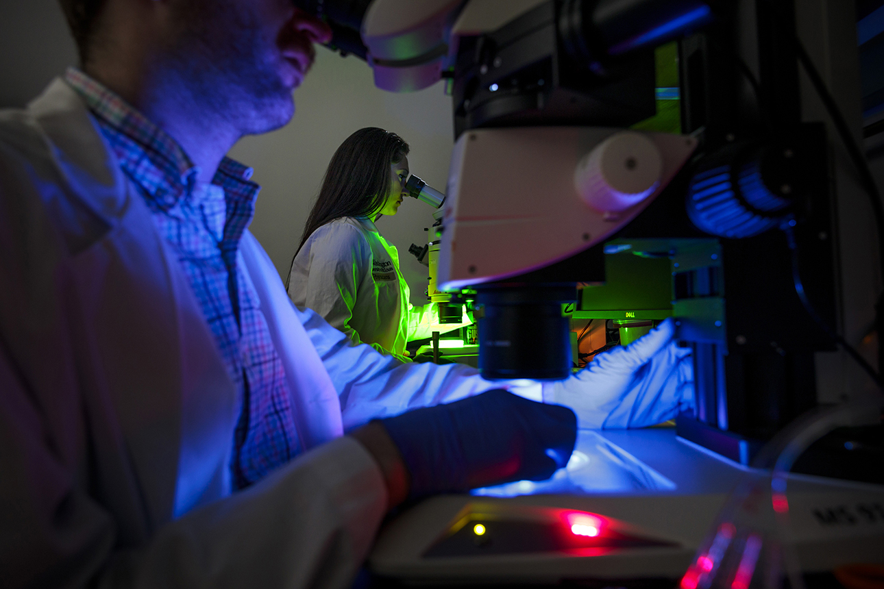 Scientists in a lab