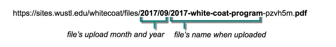 Linking to Documents (pdf, doc, ppt, xls) - WashU Web Theme