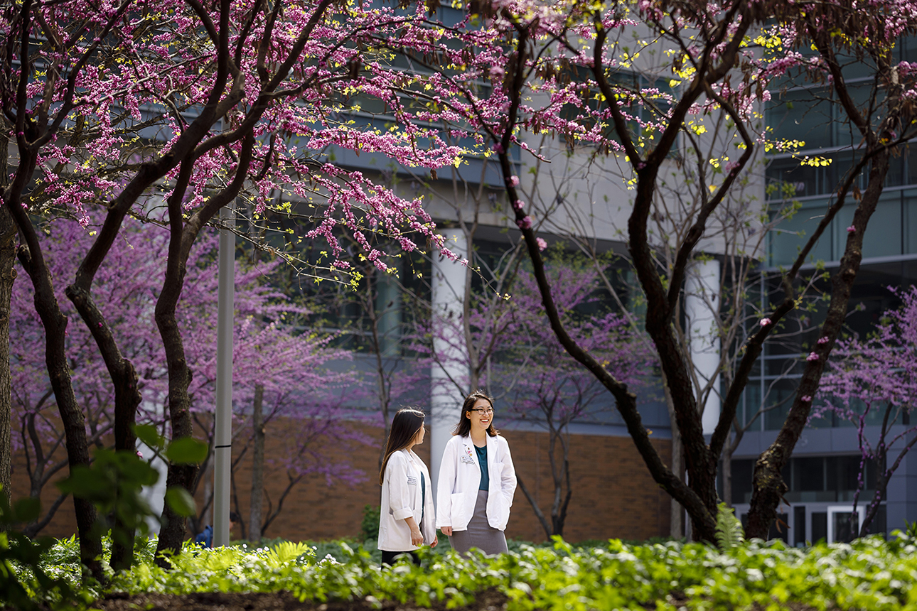 Medical students in Hope Plaza on the Medical Campus during spring